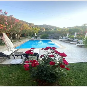 montenegro-motel.aegeanhotels.net/